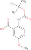 5-tert-Butoxycarbonylamino-2-methoxy-isonicotinic acid