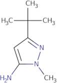 3-(tert-Butyl)-1-methyl-1H-pyrazol-5-amine