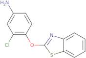 4-(1,3-Benzothiazol-2-yloxy)-3-chloroaniline