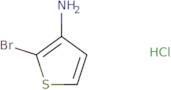 2-Bromothiophen-3-amine hydrochloride