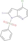 1-Benzenesulfonyl-4-chloro-2-iodo-7-azaindole