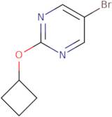 5-Bromo-2-cyclobutoxypyrimidine