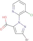 3-BroMo-1-(3-chloropyridin-2-yl)-1H-pyrazole-5-carboxylic acid