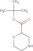 tert-Butyl morpholine-2-carboxylate