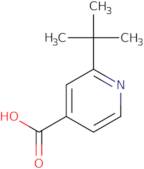 2-tert-Butylpyridine-4-carboxylic acid