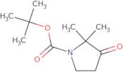 tert-Butyl 2,2-dimethyl-3-oxopyrrolidine-1-carboxylate