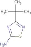 3-tert-Butyl-2,5-dihydro-1,2,4-thiadiazol-5-imine