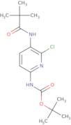 tert-Butyl 6-chloro-5-pivalamidopyridin-2-ylcarbamate