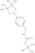 4-(tert-Butoxycarbonylaminomethyl)phenylboronic acid pinacol ester