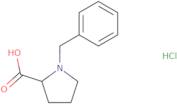 N-Benzyl-(S)-proline hydrochloride