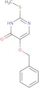 5-(Benzyloxy)-2-(methylthio)-4-pyrimidinol