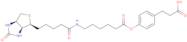 3-(4-(N-Biotinoyl-6-aminocaproyloxy)phenyl)propionic acid