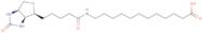 N-Biotinyl-12-aminododecanoic acid