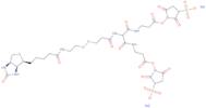 6-[2-Biotinylamidoethyl]-dithiopropionamido]-4,8-diaza-5,7-diketoundecanoic acid bis-N-sulfosuccin…