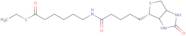 6-(Biotinylamino)thiocaproic acid, S-ethyl ester