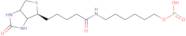 6-N-Biotinylaminohexyl hydrogenphosphonate