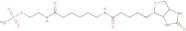 N-Biotinylcaproylaminoethyl methanethiosulfonate