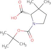 Boc-(2S)-3,3-dimethyl-2-pyrrolidenecarboxylic acid