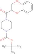 4-Boc-1-(1,4-benzodioxan-2-ylcarbonyl)piperazine