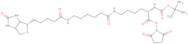 N2-t-Boc-N6-(biotinamido-6-N-caproylamido)lysine N-hydroxysuccinimide ester