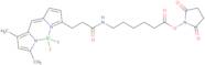 3-Bodipy-propanoylaminocaproic acid N-hydroxysuccinimide ester