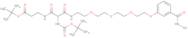 tert-Butyl 14-(N-boc-amino)-1-[3-(mercaptocarbamoyl)phenoxy]-13,15-dioxo-3,6,9-trioxa- 12,16-dia...