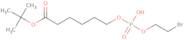 tert-Butyl 6-[O-(2-bromoethyl)phosphoryl)hydroxyhexanoate