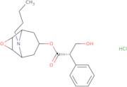 N-Butyl nor scopolamine hydrochloride