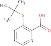 3-tert-Butylthio-2-carboxypyridine