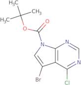 7-Bromo-6-chloro-7-deazapurine-9-carboxylic acid tert-butyl ester