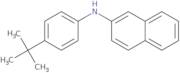 N-(4-tert-Butylphenyl)-2-naphthylamine