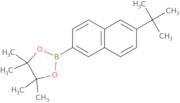 6-t-Butylnaphthalen-2-boronic acid pinacol ester