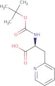 Boc-L-3-(2-pyridyl)-alanine
