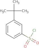 3-tert-Butylbenzenesulfonyl chloride