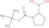 1-Boc-Pyrrolidine-2-boronic acid