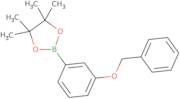 2-[3-(benzyloxy)phenyl]-4,4,5,5-tetraMethyl-1,3,2-dioxaborolane