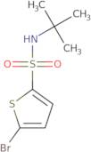 5-Bromo-N-tert-butyl-2-thiophene-sulfonamide
