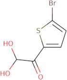 5-Bromo-2-thiopheneglyoxal hydrate