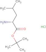 (R)-tert-Butyl 2-amino-4-methylpentanoate hydrochloride