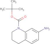 tert-Butyl 7-amino-3,4-dihydroquinoline-1(2H)-carboxylate