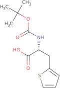 Boc-β-(2-thienyl)-D-alanine