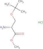 O-tert-Butyl-D-serine methyl ester hydrochloride