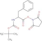 Boc-L-phenylalanine N-hydroxysuccinimide ester