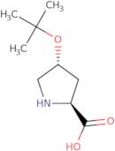 O-tert-Butyl-L-trans-4-hydroxyproline