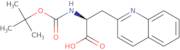 Boc-3-(2'-quinolyl)-L-alanine