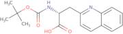 Boc-3-(2'-quinolyl)-D-alanine