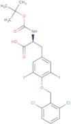 Boc-O-2',6'-dichlorobenzyl-3,5-diiodo-L-tyrosine