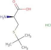 S-tert-Butyl-D-cysteine hydrochloride