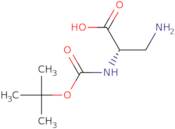 N-alpha-Boc-L-2,3-diaminopropionic acid