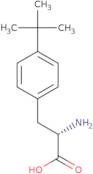 4-tert-Butyl-L-phenylalanine